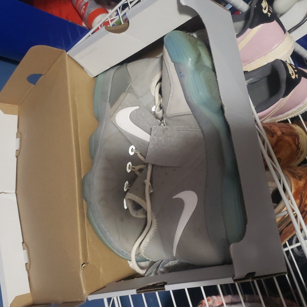 Lebron Airmag's